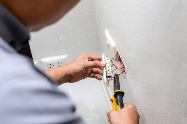 Best Electric Panel Repair  in Bray, OK